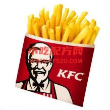 KFC肯德基系列技术配方揭秘 肯德基视频教程 薯条汉堡炸鸡技术